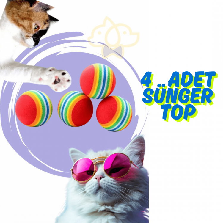 4 Adet Kedi Sünger Oyun Topu