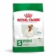 Royal Canin Mini Adult 1kg