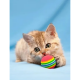Renkli Sünger Kedi Oyun Topu