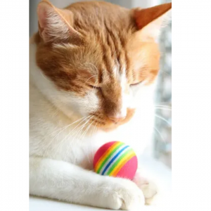 Renkli Sünger Kedi Oyun Topu 1 Adet Renkli Sünger Kedi Oyun Topu 1 Adet